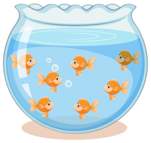 Fish tank